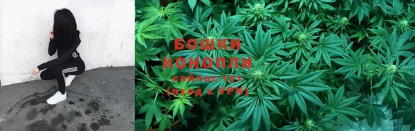 шишки Покров
