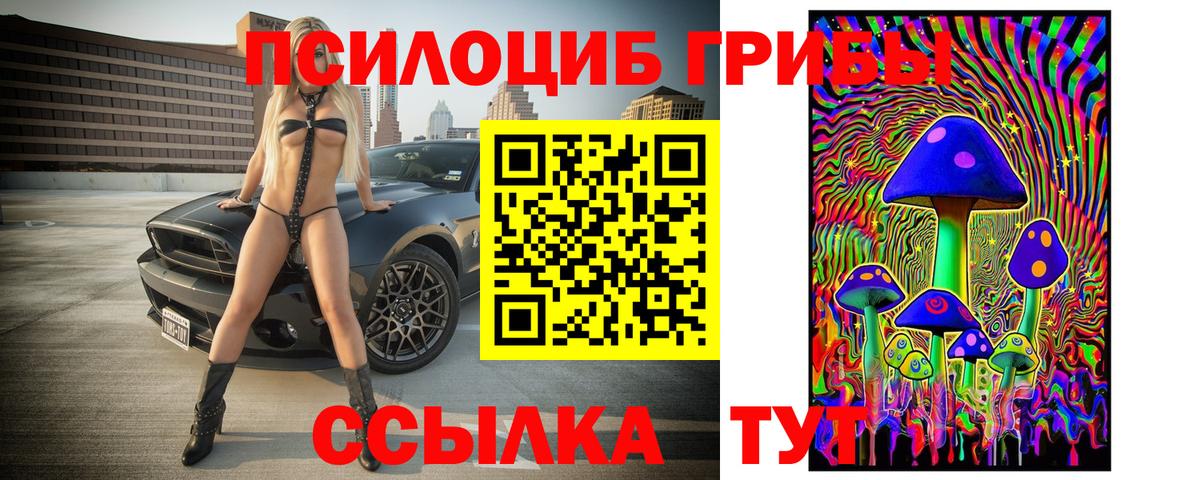 Псилоцибиновые грибы мухоморы  где купить наркоту  Слободской  Галлюциногенные грибы мицелий  Вход с VPN 